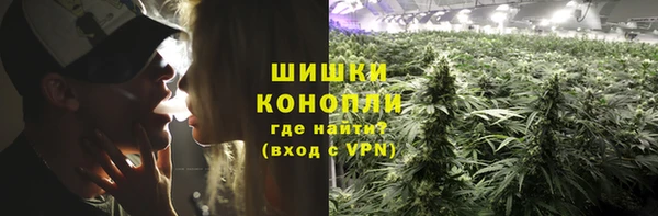 трава Арсеньев