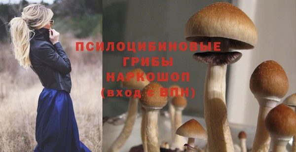 метадон Армянск