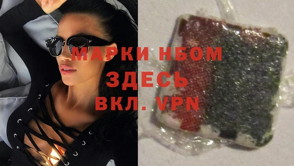 твердый Алзамай