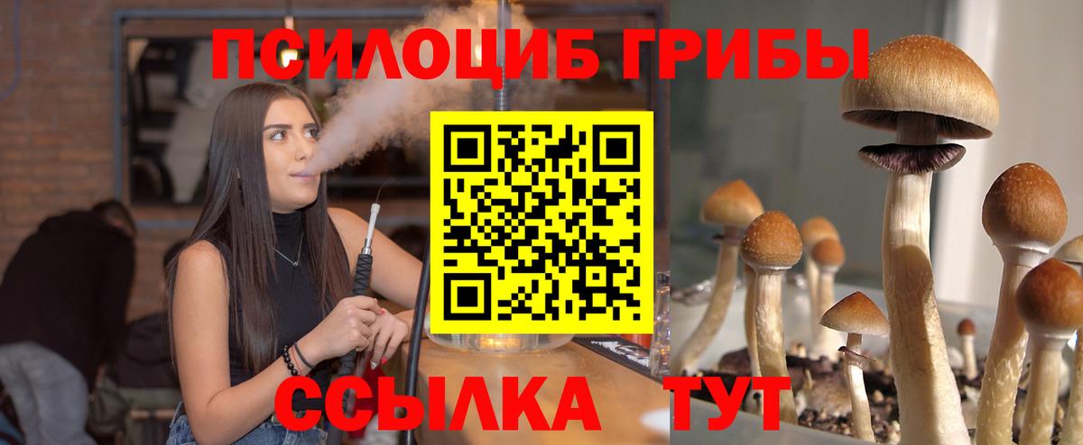 Псилоцибиновые грибы GOLDEN TEACHER Майкоп