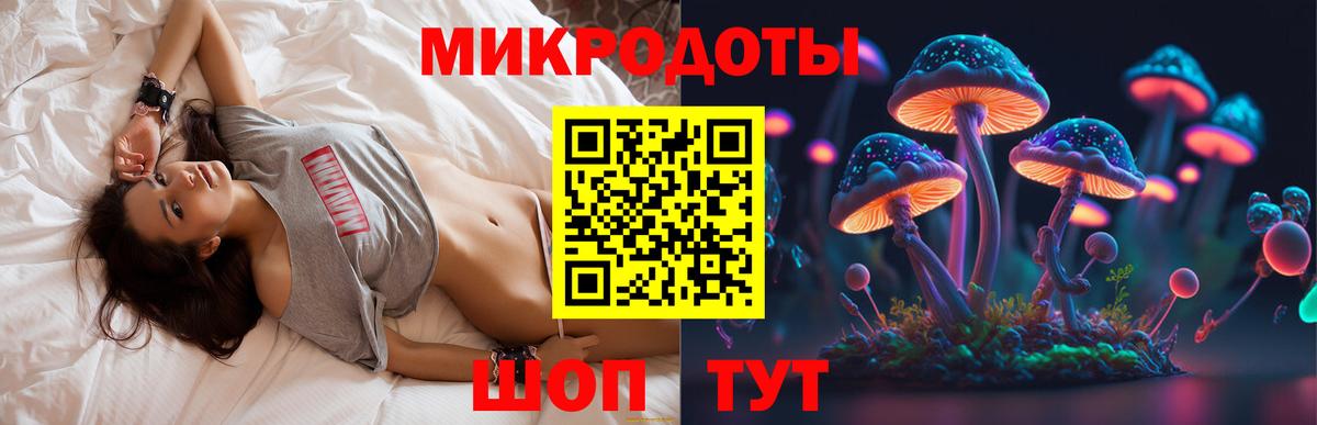 МЕФ Майкоп